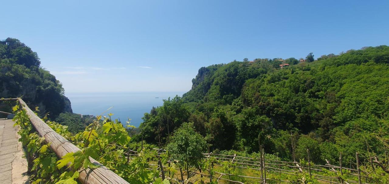 Bed and Breakfast La Cicogna Аджерола Екстер'єр фото