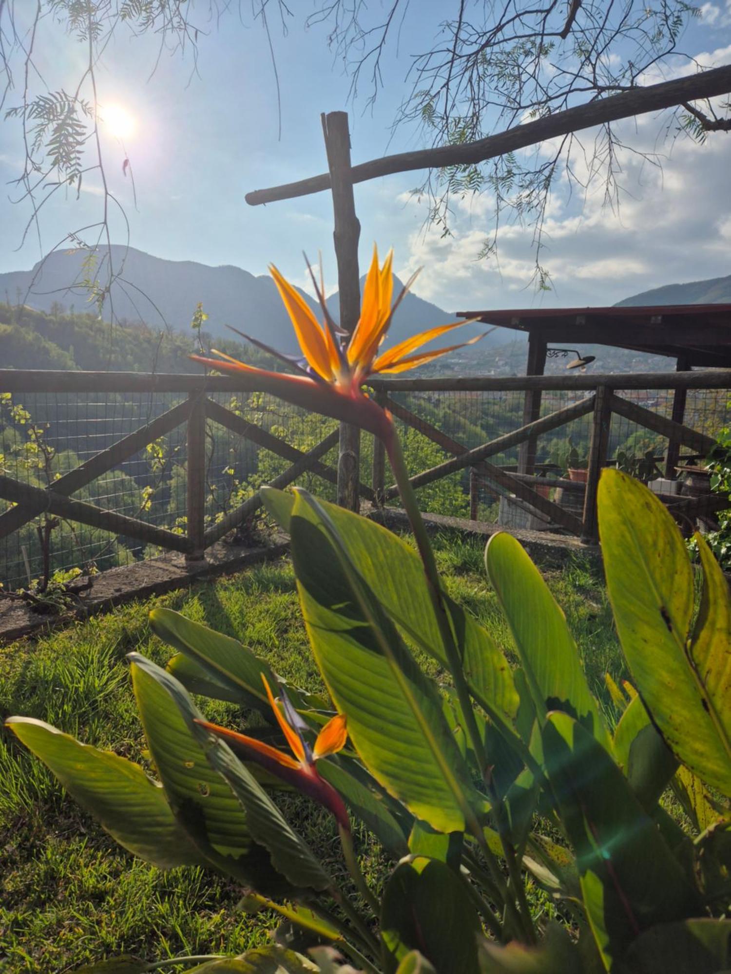 Bed and Breakfast La Cicogna Аджерола Екстер'єр фото